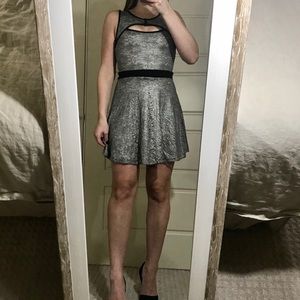 Silver Lace Keyhole Skater Dress